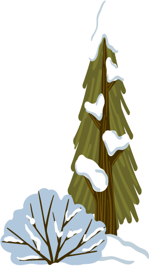 スキー場の全景